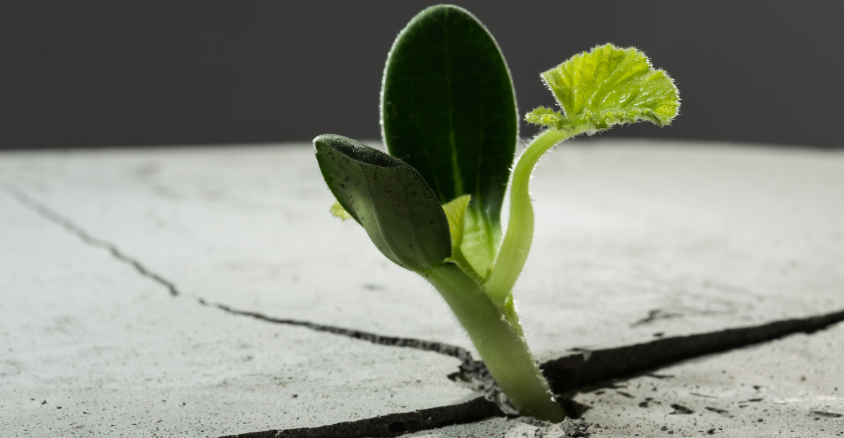 Post-Traumatic Growth: Finding Strength After Adversity