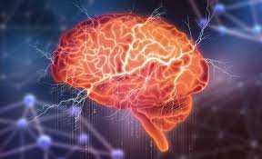 How the Brain Reacts to Uncertainty