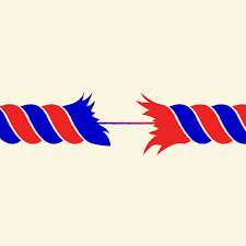 Perceptual Trust Collapse