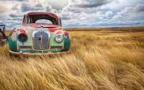 Has Modern Comfort Made Humanity More Fragile Than Strong?