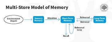 The Architecture of Human Memory in a Forgetful Age