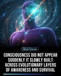 Can Awareness Ever Fully Know Itself?