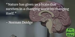 Can the Brain Change Itself Through Thought?