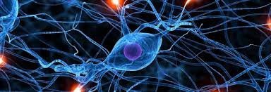 Does Free Will Survive Neuroscience?