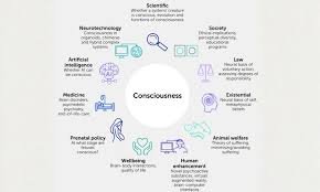 How Does Consciousness Emerge from Neural Complexity?