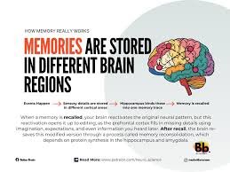 Is Memory a Reconstruction Rather Than a Record?