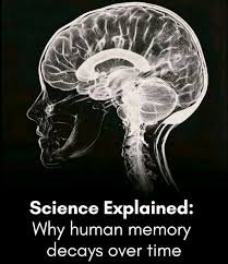 How Do Memories Transform Over Time