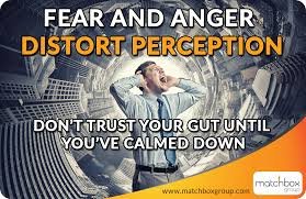 Why Does Fear Distort Perception?
