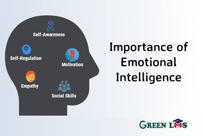 Why Is Emotional Intelligence Important in Daily Life?