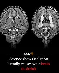 Can Loneliness Reshape the Brain?