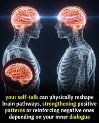 How Does the Brain Shape Human Speech?