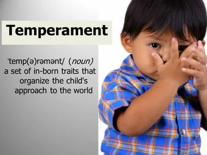 Temperament: Why Are People Born Different?